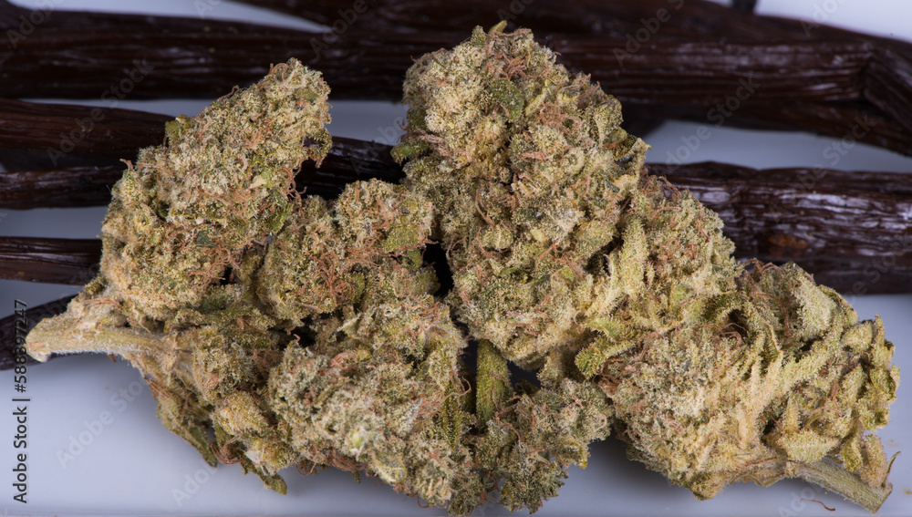 Obraz premium Cannabis Flower