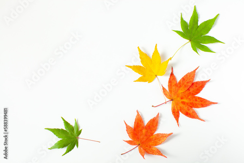 秋の落ち葉のフレーム