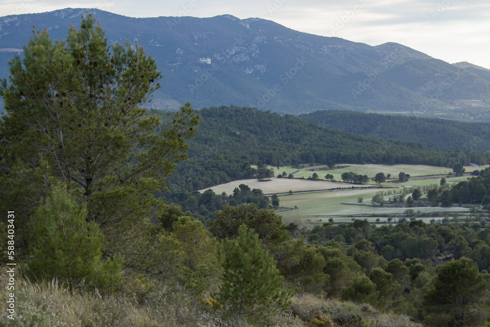 Naklejka premium Paisaje del Parque Natural de la Fuente Roja de Alcoy desde la Sierra de Mariola