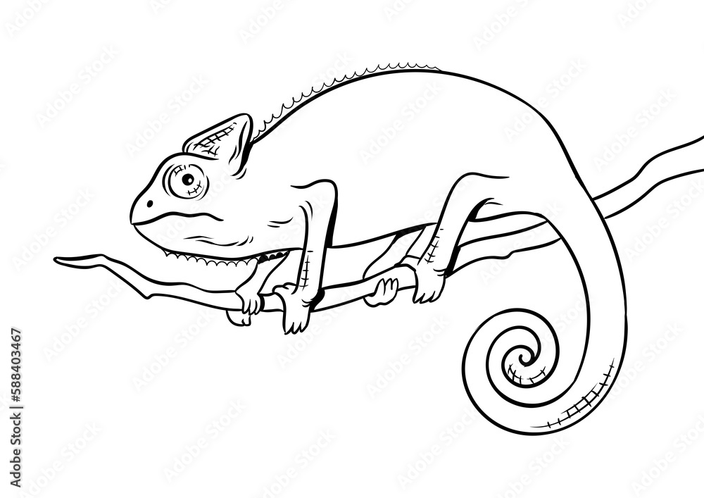Chameleon animal coloring book PNG illustration with transparent background Chameleon animal coloring book PNG illustration with transparent background