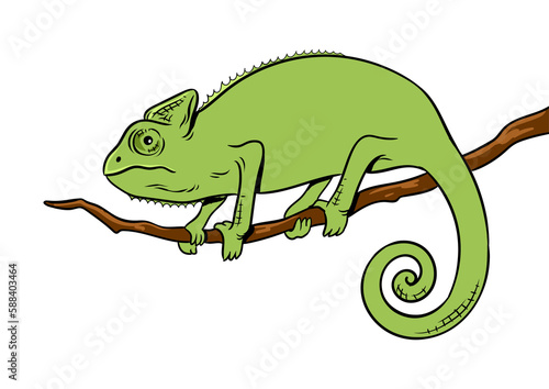 Chameleon animal color pop art PNG illustration with transparent background