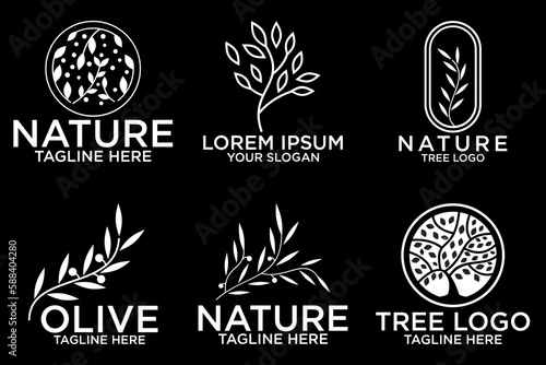 Olive tree logo. Extra virgin olive oil label icon. Tree of life symbol. Organic branch brand identity