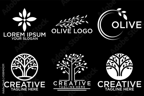 Olive tree logo. Extra virgin olive oil label icon. Tree of life symbol. Organic branch brand identity