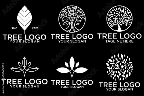 Olive tree logo. Extra virgin olive oil label icon. Tree of life symbol. Organic branch brand identity