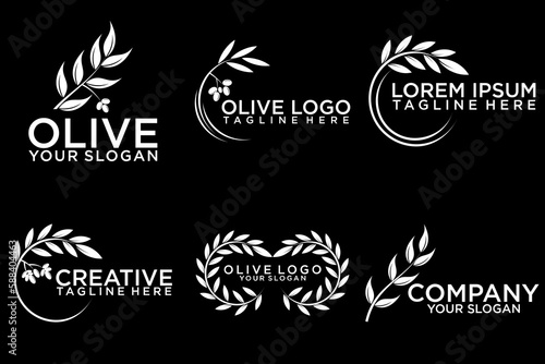 Olive tree logo. Extra virgin olive oil label icon. Tree of life symbol. Organic branch brand identity