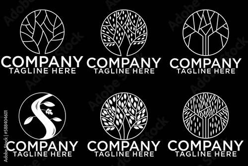 Olive tree logo. Extra virgin olive oil label icon. Tree of life symbol. Organic branch brand identity