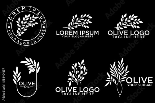 Olive tree logo. Extra virgin olive oil label icon. Tree of life symbol. Organic branch brand identity