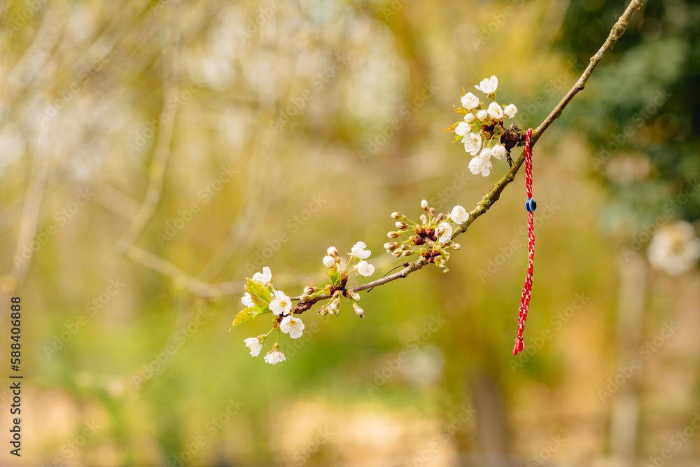 Red romanian martisor bracelet on blooming with flowers tree branch Red romanian martisor bracelet on blooming with flowers tree branch