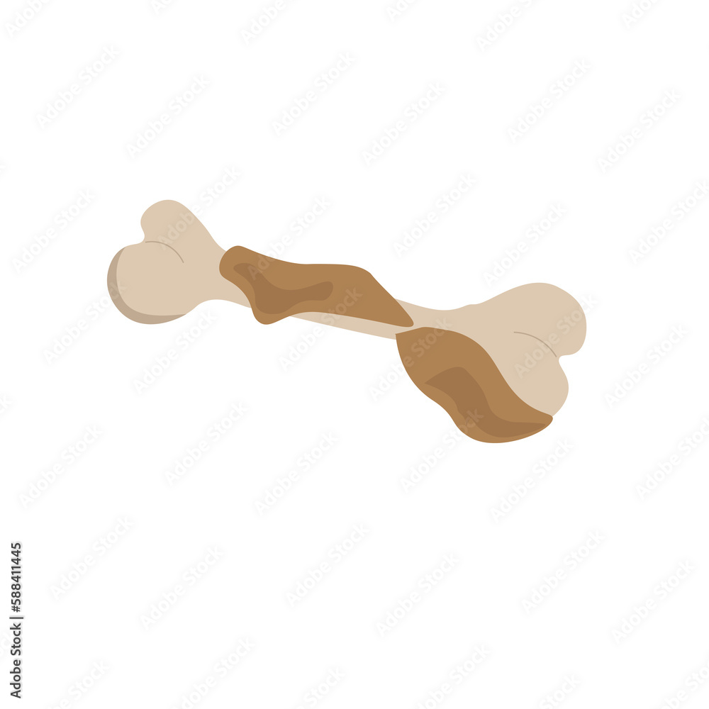 Bone. Organic garbage which can be decomposed. Organic waste. Green lifestyle. Bone. Organic garbage which can be decomposed. Organic waste. Green lifestyle.