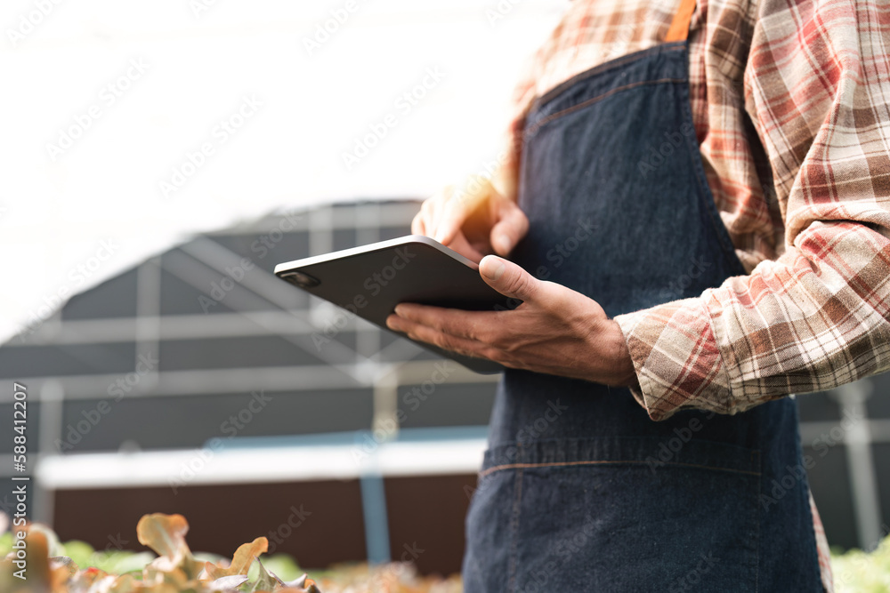 Closeup of young farmer's hands holding a tablet and checking the progress of the harvest at hydroponic greenhouse. Worker tracks the growth prospects. Agricultural concept
