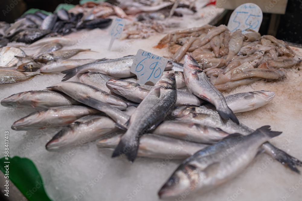 Shopping in an italian Seafood Store. Variety of fresh seafood on market. high quality photo