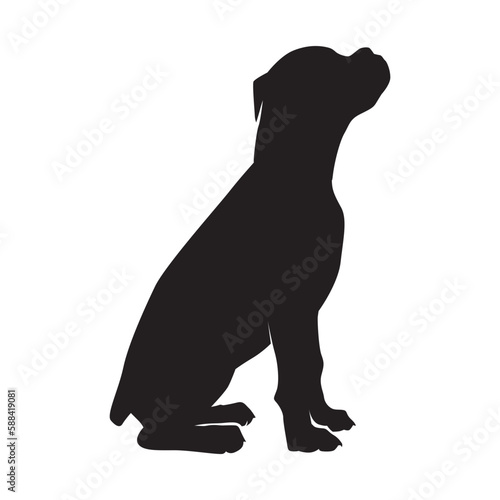 dog illustration on white