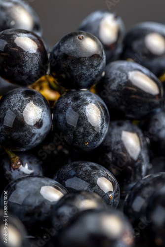 sweet ripe black grapes covered with drops of water