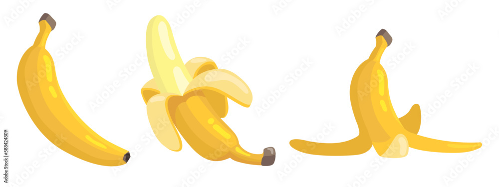 yellow banana fruit vector design