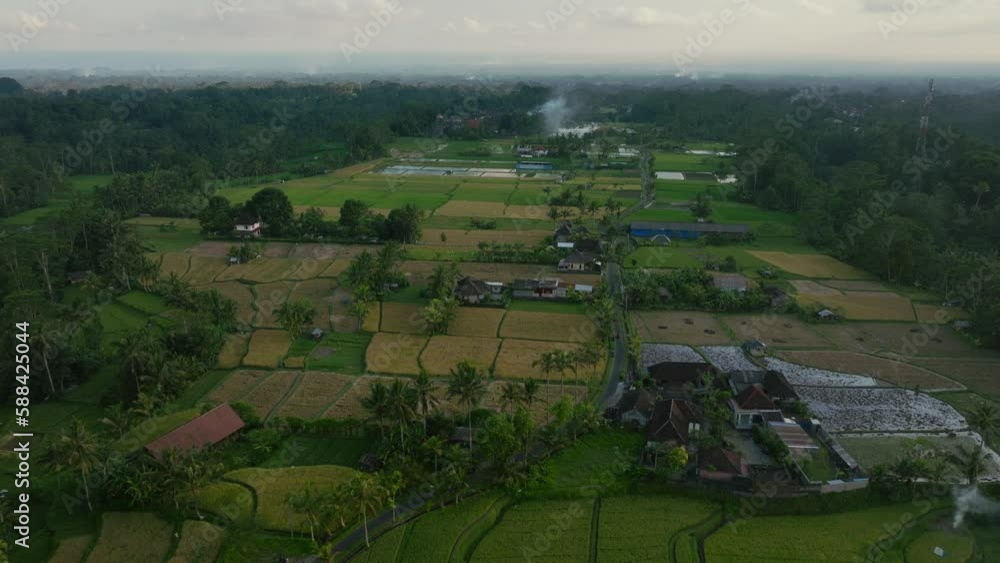 Drone view of Bali. Rice Terrace, Ubud. Top view Drone view of Bali. Rice Terrace, Ubud. Top view