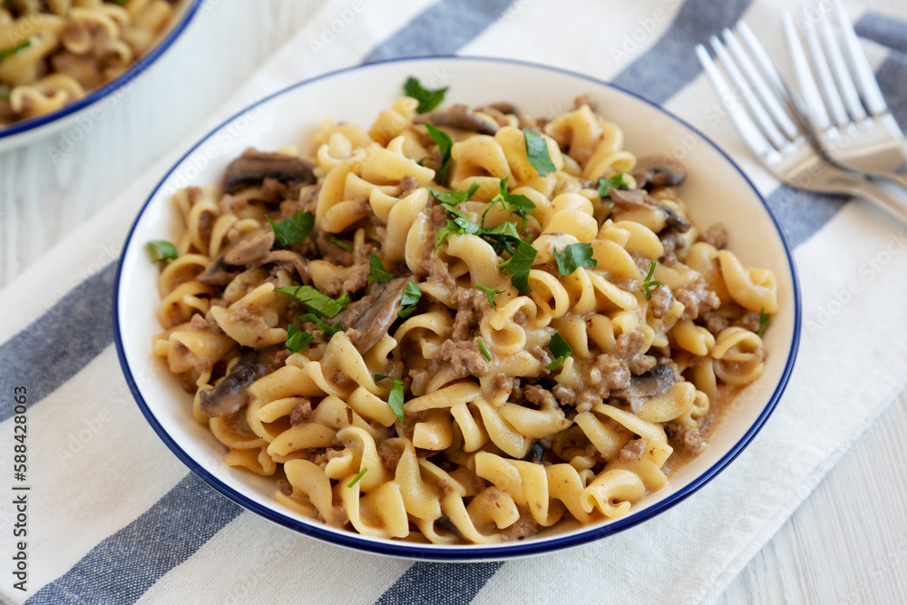 Homemade One Skillet Ground Beef Stroganoff with Mushrooms and Noodles on a Plate, side view. Homemade One Skillet Ground Beef Stroganoff with Mushrooms and Noodles on a Plate, side view.