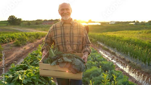 Close up portrait of senior caucasian good looking wise man farmer looking at the side, turning face to the camera in a field.