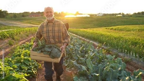Portrait of senior caucasian good looking wise man farmer looking at the side, turning face to the camera in a field.