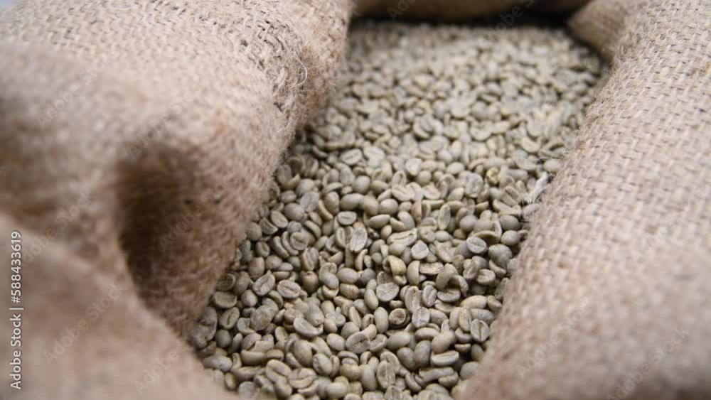 Closeup view of green unroasted arabica coffee beans in textile bag