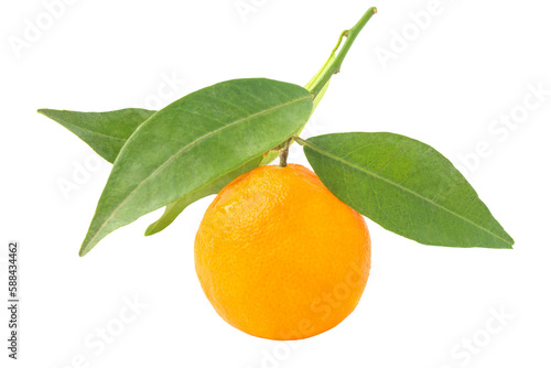 Orange mandarin with green leaf in PNG isolated on transparent background