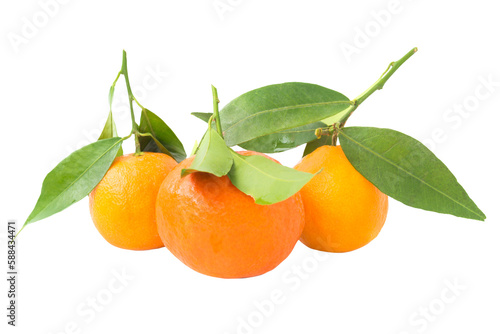 Group of orange mandarins with green leaves in PNG isolated on transparent background