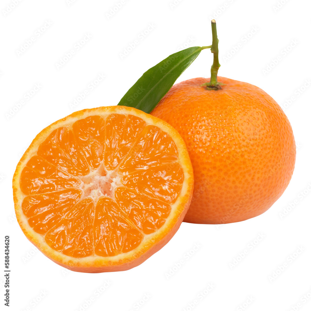 Two orange mandarins with green leaf in PNG isolated on transparent background