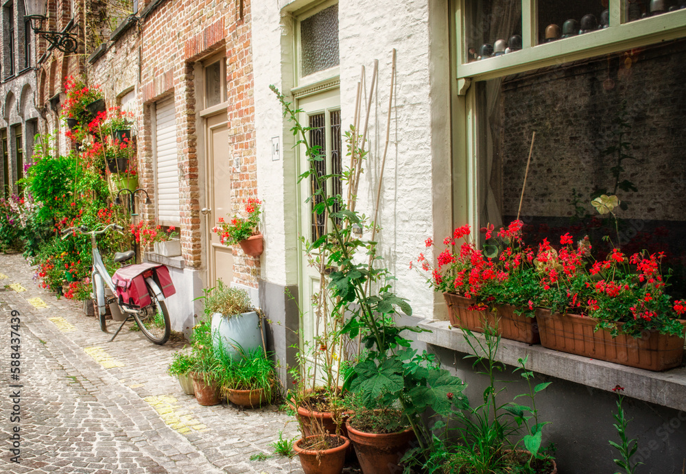 Streets of Brugge with flowers