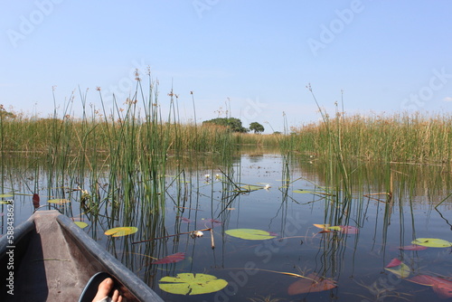 Okavango Delta photo