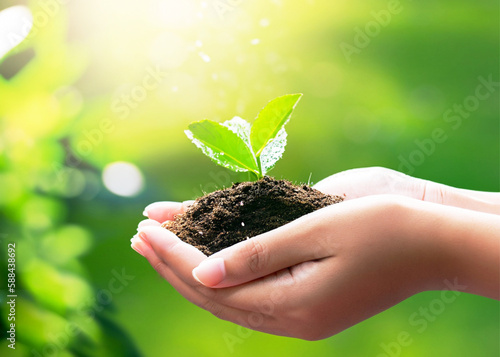 Eco earth day concept. hand holding young plant in sunshine and green nature background - AI Generative