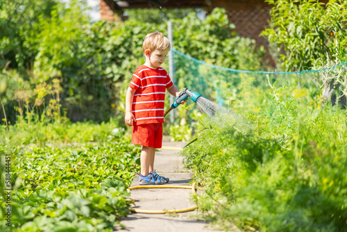 Child watering flowers and plants in garden. Little boy gardening © spyrakot