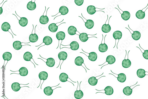 green protozoa photo