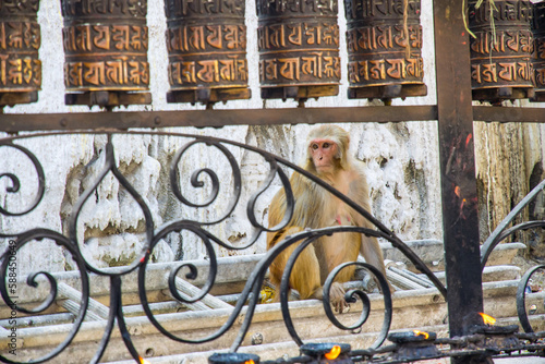 UNESCO World Heritage Site Swayambhunath Monkey Temple of Buddhists and Hindus in Kathmandu Nepal