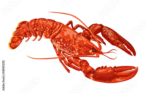 Lobster isolated on white background engraving vector illustration for seafood menu. Hand drawn crustacean in realistic style. One red lobster with two claws