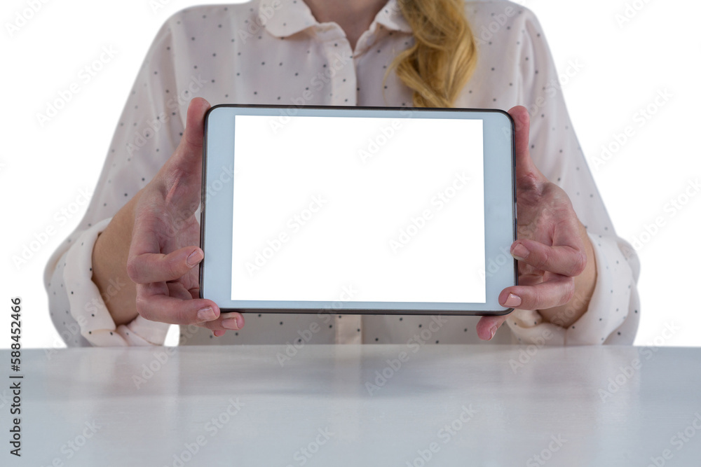 Female executive holding digital tablet Female executive holding digital tablet