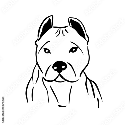 Vector illustration hand drawn Cane Corso with black lines