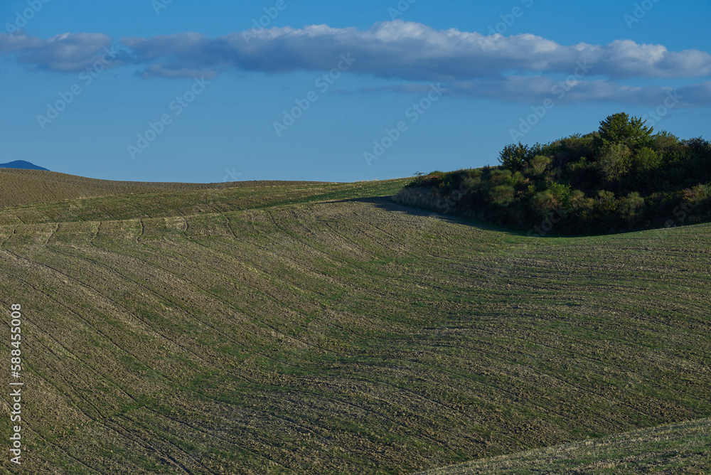 Wavy landscapes in Italy in Tuscany in summer