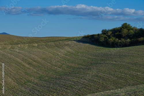 Wavy landscapes in Italy in Tuscany in summer