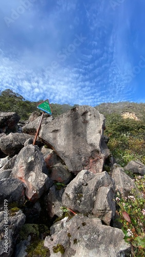 stone 