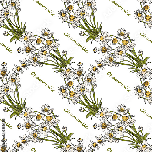 Seamless pattern with a chamomile and text on an isolated background