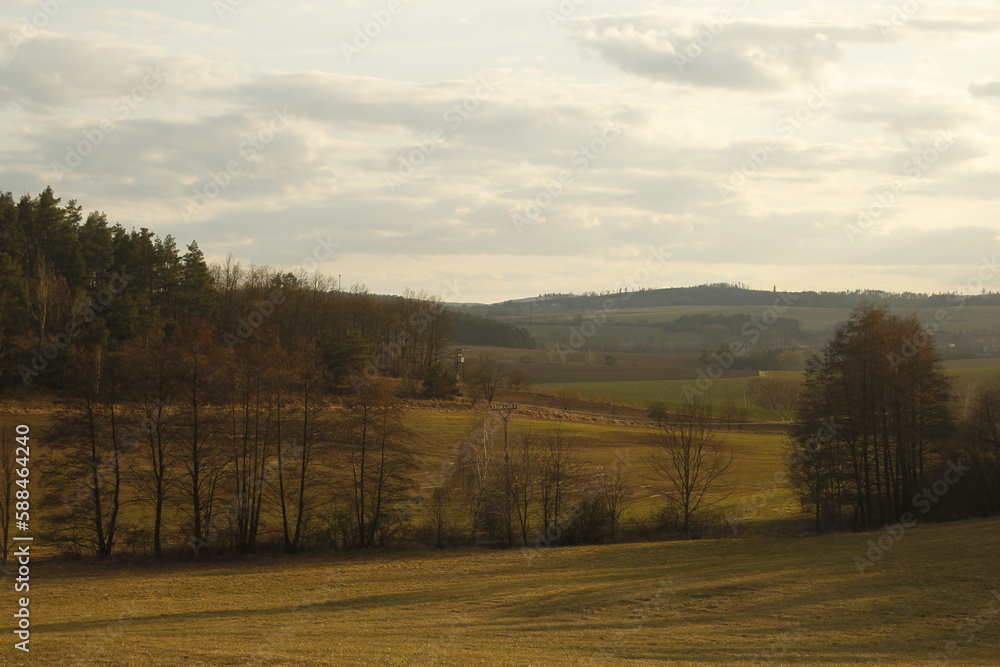 Obraz premium autumn landscape with trees