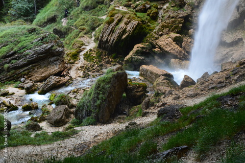 The beauty of nature