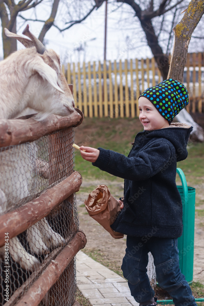 boy in the spring in the animal park feed special food cheerful and smiles boy in the spring in the animal park feed special food cheerful and smiles