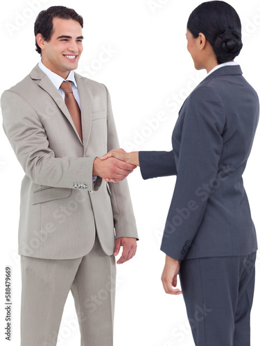 Happy corporate man doing handshake