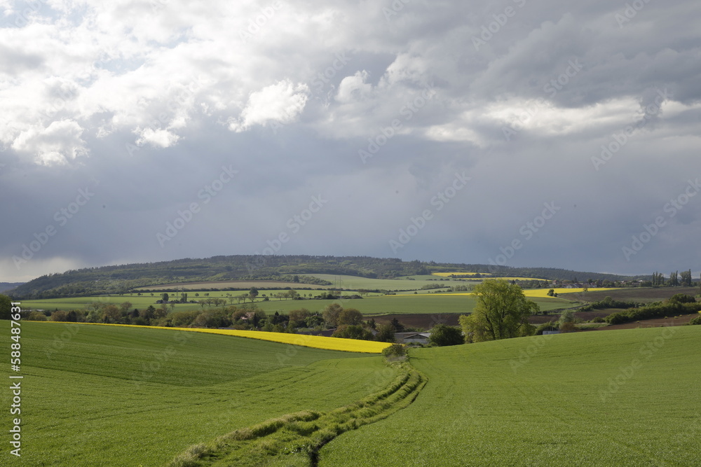 landscape with field landscape with field