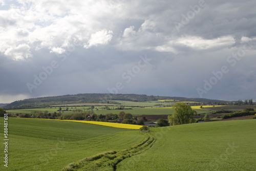 landscape with field