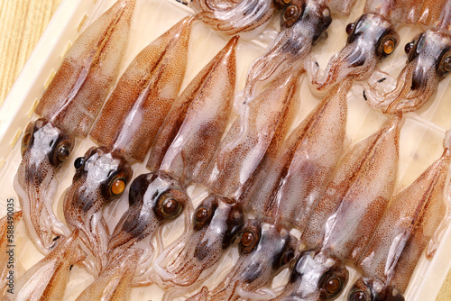 firefly squid ( hotaru ika ), Japanese cuisine ingredient photo