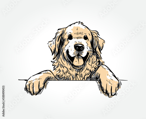 Hand-drawn vector of a happy golden retriever putting its paws on an edge. Perfect for animal lovers and pet-related designs