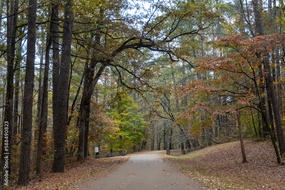 Autumn Leaves at Jeff Busby Site and Little Mountain trail and summit Road. Natchez Trace site named after U.S. Congressman Thomas Jefferson Busby who authorized a survey of Old Natchez Trace.