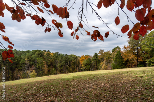 Tableau sur toile Autumn Leaves at Jeff Busby Site, Little Mountain trail and summit Road