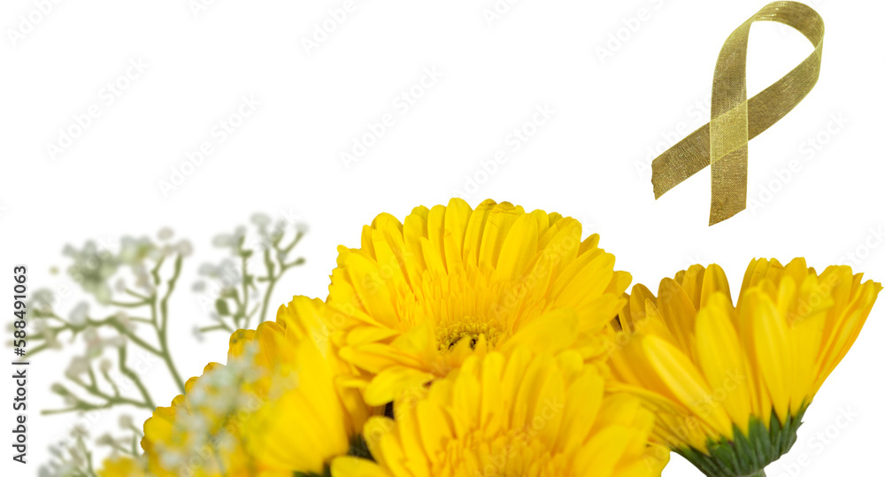 Naklejka premium Sunflower on white background